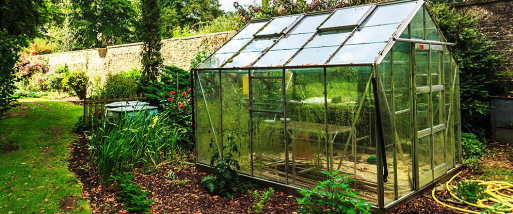 greenhouse in a backyard